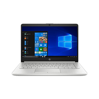 Laptop HP 14s-dk0117AU 8TS51PA