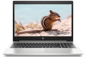 Laptop HP Probook 450 G6 5YM71PA Bạc